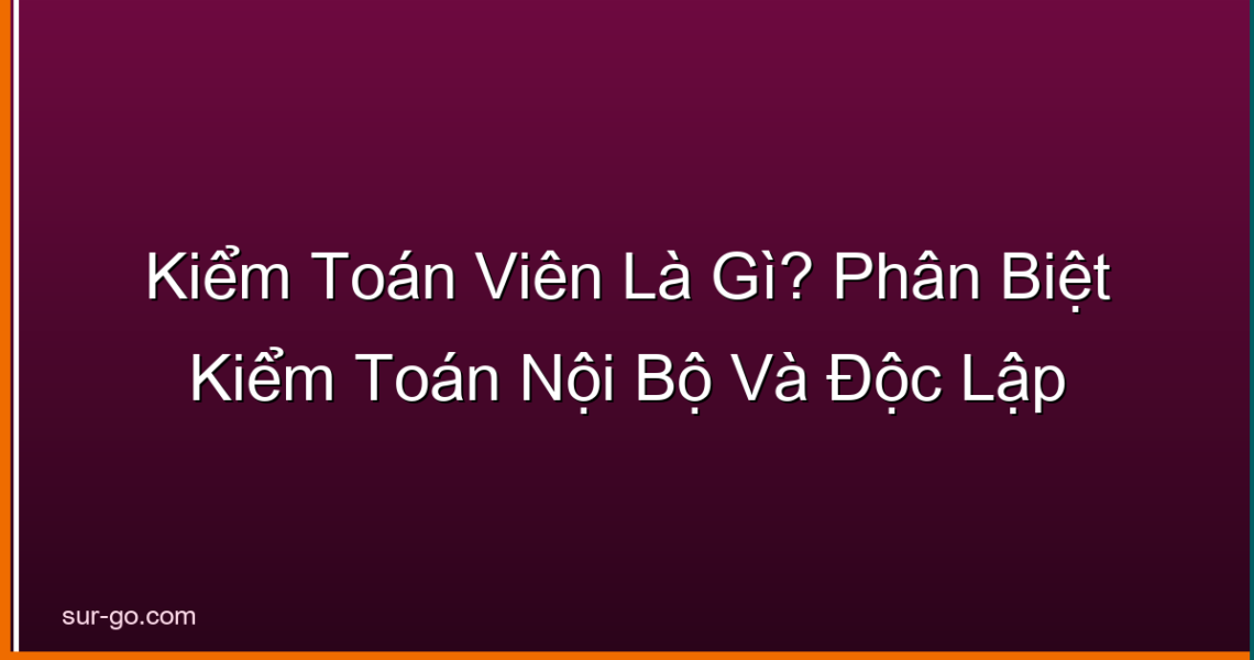 Kiểm Toán Viên Là Gì? Phân Biệt Kiểm Toán Nội Bộ Và Độc Lập